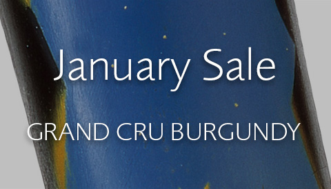 /img/offers/1914/Jan Sale GC Burg card.jpg